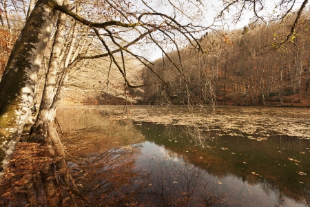 YedigÃ¶ller ( Seven Lakes) National Park , Bolu , Turkeyの写真素材