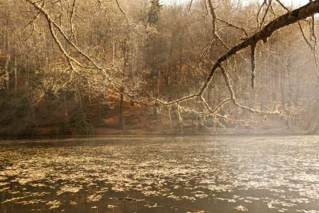 YedigÃ¶ller ( Seven Lakes) National Park , Bolu , Turkeyの写真素材