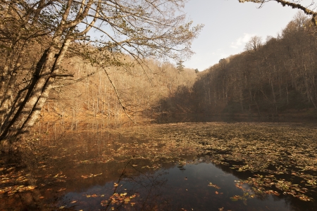 YedigÃ¶ller ( Seven Lakes) National Park , Bolu , Turkeyの写真素材
