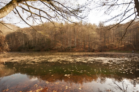 YedigÃ¶ller ( Seven Lakes) National Park , Bolu , Turkeyの写真素材