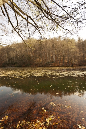 YedigÃ¶ller ( Seven Lakes) National Park , Bolu , Turkeyの写真素材