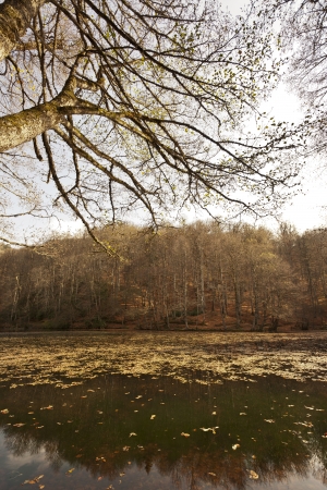 Seven Lakes National Park , Bolu , Turkeyの写真素材