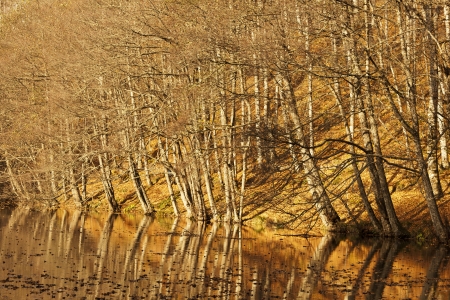 YedigÃ¶ller ( Seven Lakes) National Park , Bolu , Turkeyの写真素材