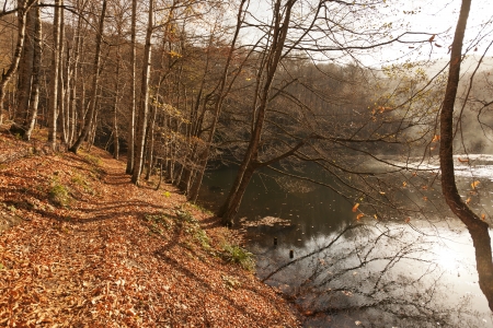 YedigÃ¶ller ( Seven Lakes) National Park , Bolu , Turkeyの写真素材