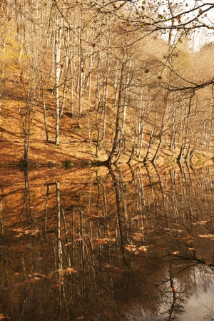 YedigÃ¶ller ( Seven Lakes) National Park , Bolu , Turkeyの写真素材