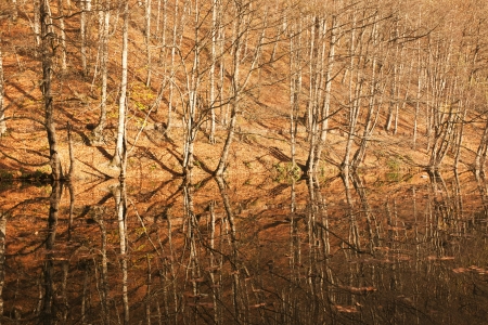 YedigÃ¶ller ( Seven Lakes) National Park , Bolu , Turkeyの写真素材