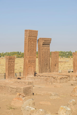 seljuk turk cemetery in ahlat, bitlisのeditorial素材