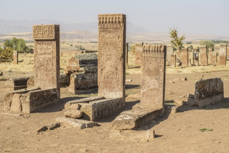 seljuk turk cemetery in ahlat, bitlisのeditorial素材