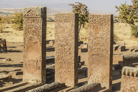 seljuk turk cemetery in ahlat, bitlisのeditorial素材