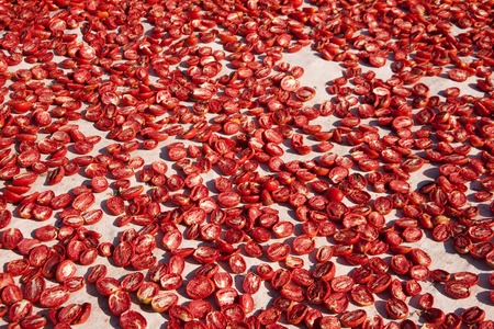 dried tomatoes の写真素材