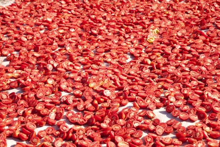 dried tomatoes の写真素材