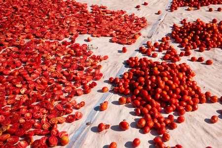 dried tomatoes の写真素材