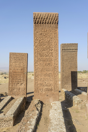seljuk turk cemetery in ahlat, bitlisのeditorial素材