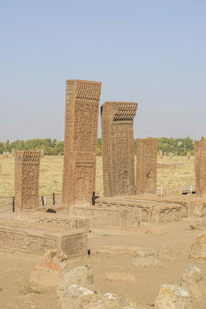 seljuk turk cemetery in ahlat, bitlisのeditorial素材