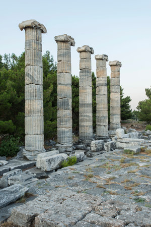 Columns of Prieneの写真素材