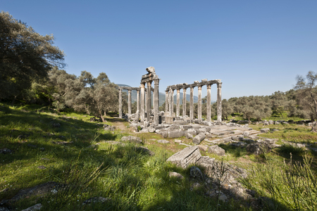 The Temple of Zeus at Euromosの写真素材
