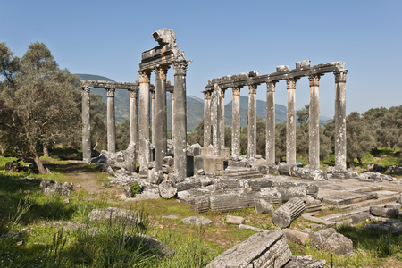 The Temple of Zeus at Euromosの写真素材