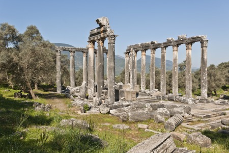 The Temple of Zeus at Euromosの写真素材