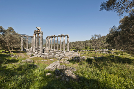 The Temple of Zeus at Euromosの写真素材