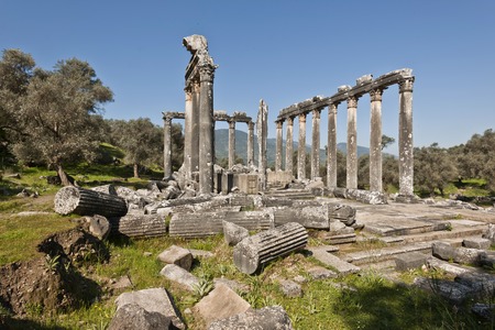 The Temple of Zeus at Euromosの写真素材