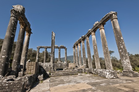 The Temple of Zeus at Euromosの写真素材
