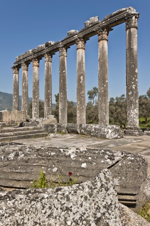 The Temple of Zeus at Euromosの写真素材