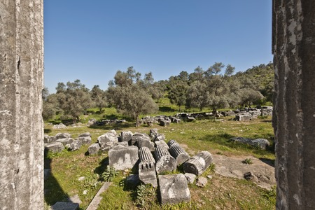 The Temple of Zeus at Euromosの写真素材