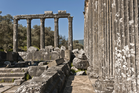 The Temple of Zeus at Euromosの写真素材
