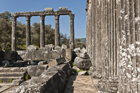 The Temple of Zeus at Euromosの写真素材