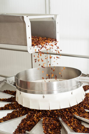 raisins in raisin production factory packaging