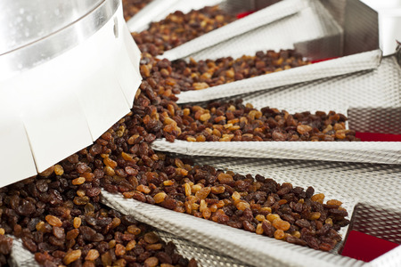 raisins in raisin production factory packagingの写真素材