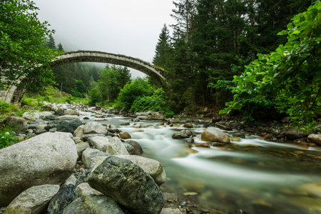 Stone Bridge, Rize, TURKEY
