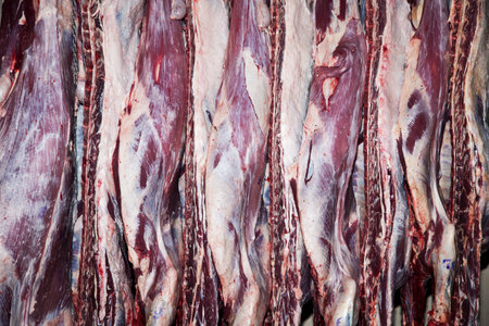 Slaughter house