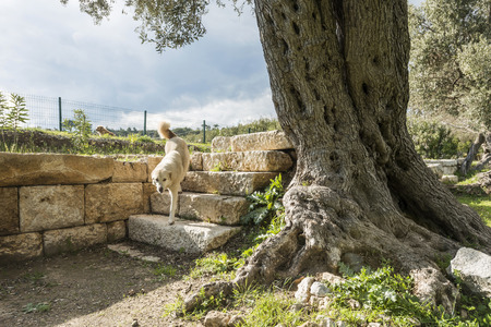 Historical Site In Teos , Turkeyの写真素材