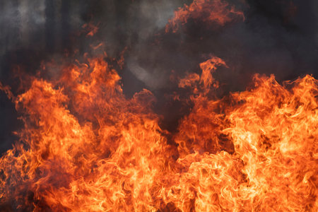 Fire