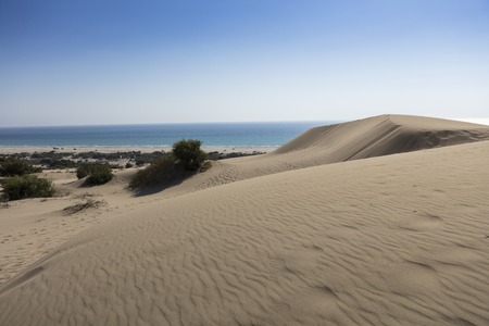 Patara desert, Turkeyの写真素材