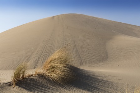 Patara desert, Turkeyの写真素材