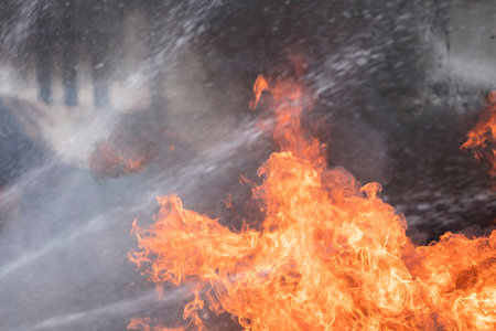 Flames from a fire in the forest. Firefighters extinguish a fire.