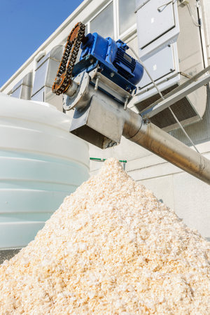 Pile of wheat grains being processed by an industrial machine in a factoryの写真素材