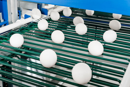 Eggs on conveyor belt in the factory, closeupの写真素材