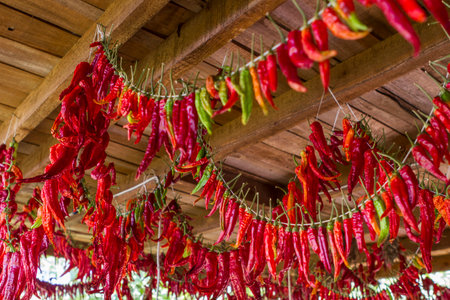 Red chili peppers hanging on the roof of a wooden house in Thailandの写真素材