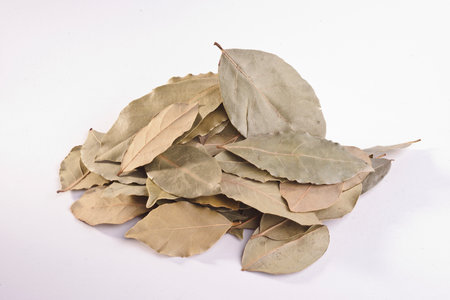 Dry bay leaves isolated on white background. spices and herbsの写真素材