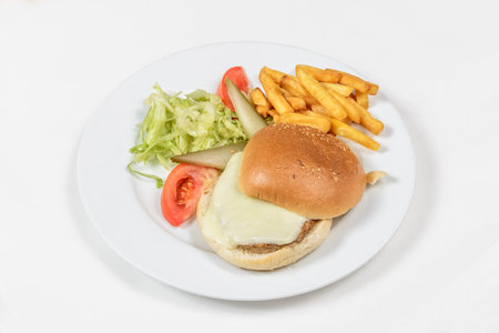 Cheese burger - American cheese burger with fresh salad on white plateの写真素材