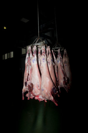 Pig meat hanging on a pole in a butcher shop, stock photoの写真素材