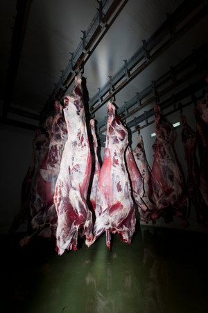 Pig meat hanging on a rack in a factory, closeup of photo