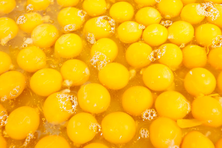Yellow egg yolks in boiling water. Close-up.の写真素材