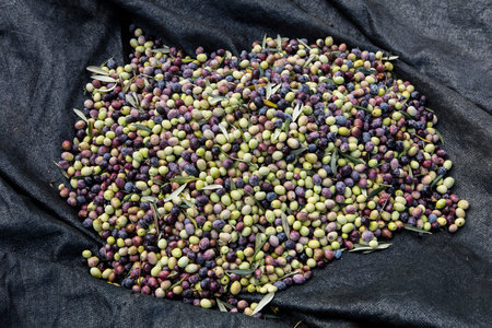 Olives in a basket on a black cloth. top viewの写真素材