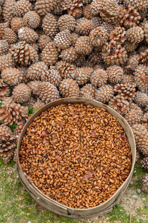 Pine cones and nuts in a basket on the market stall.の写真素材
