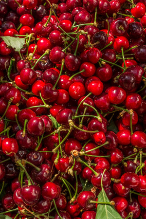 Cherries background. Top view of a pile of red cherries.の写真素材