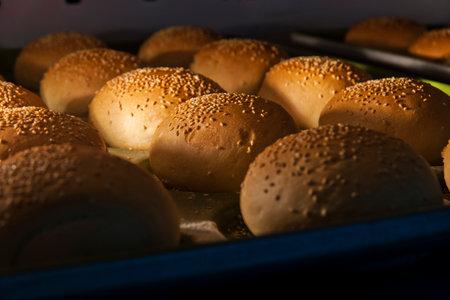 Freshly baked buns with sesame seeds in a baking trayの写真素材